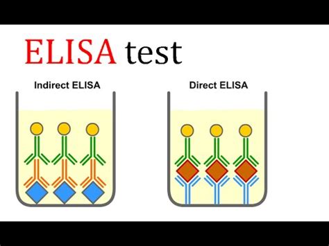 Elérhető | wholesale and retail. ELISA test - YouTube