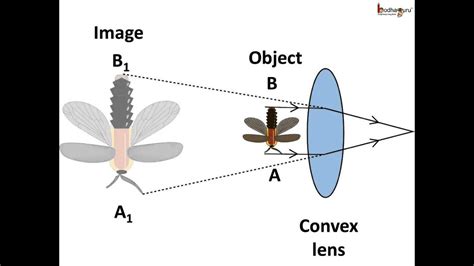 Concave and convex are two types of lenses that possess variation in physical shape as well as their properties. Science - What are Concave and convex lenses and prism ...