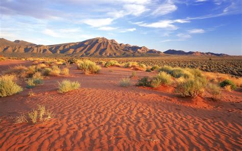 Australian Desert Landscape
