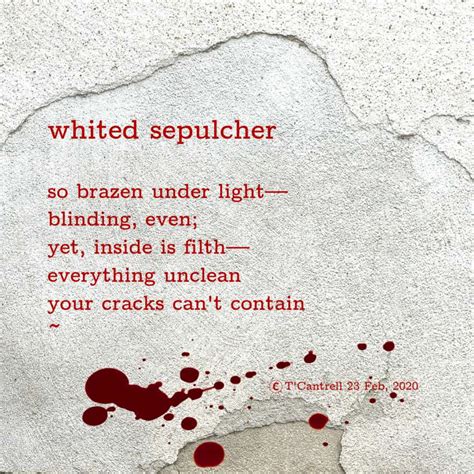 Dark Poems Whited Sepulcher Du Poetry