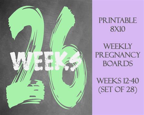 Weekly Pregnancy Chalkboard Photo Props 8x10 Set Of Boards 28