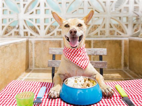 Learn How To Read The Nutritional Table Of Your Pet´s Food Kanu Pet