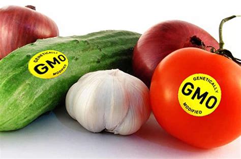 Gmo Foods Here Are The Scientifically Proven Dangers
