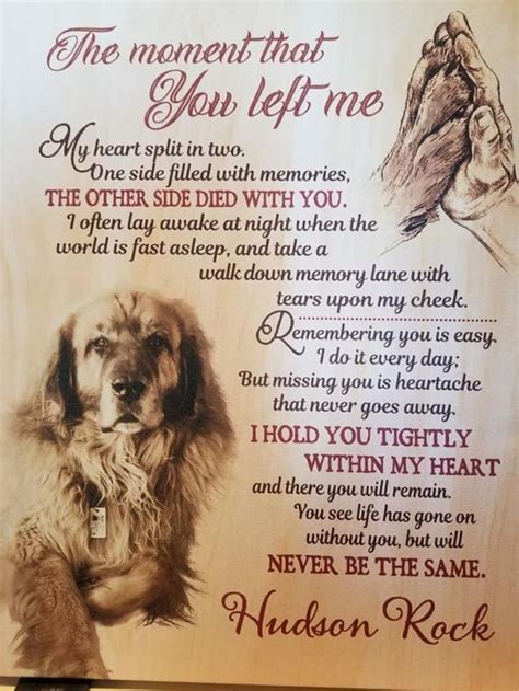 Pet Loss Grief Poems The W Guide