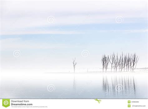 Mist Over Lake During Sunrise Stock Image Image Of Sunrise Serene