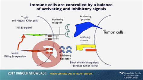 Video Immunotherapy Unleashing The Bodys Natural Defense Systems To