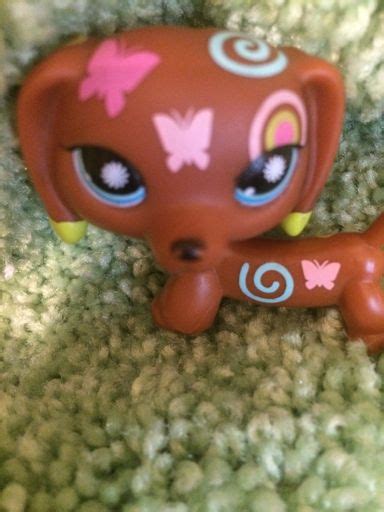 Brittney Ambers Sister Wiki Littlest Pet Shop Amino Amino