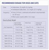 Images of Medication For Uti In Cats