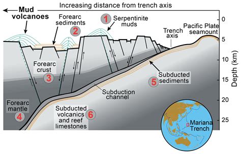 Se Fluidrock Interactions In The Shallow Mariana Forearc Carbon
