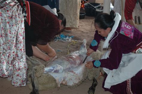 Miss Navajo Sheep Butchering Contest