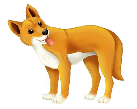 Dingo Dog Stock Illustrations 381 Dingo Dog Stock Illustrations