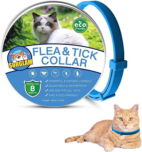Flea Collars For Cats Amazon Cat Meme Stock Pictures And Photos