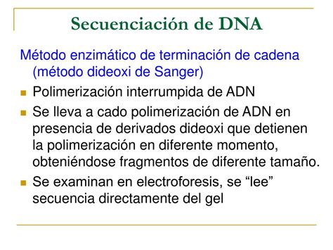 Ppt Amplificación De Dna In Vitro Pcr Polymerase Chain Reaction
