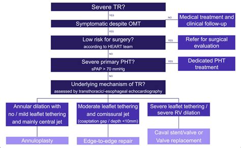 Decision Algorithm For Transcatheter Tricuspid Valve Interventions