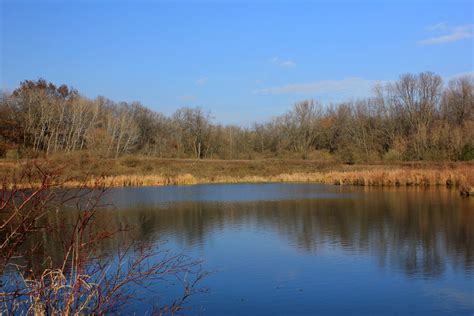 Pond In The River At Rock Cut State Park Illinois Image Free Stock