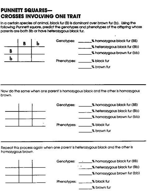 genetics punnett squares practice worksheet