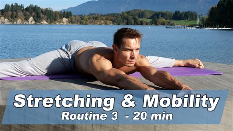Stretching And Mobility Routine 20min Nr 3 By Dr Daniel Gärtner English Youtube