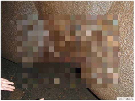 Ada 8 tipe miss v, kamu termasuk yang mana? Batu Berbentuk Seperti Alat Sulit Wanita Jadi Tarikan ...