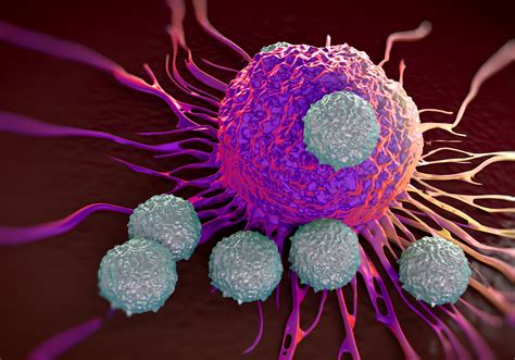 New Study Puts Us One Step Closer To Being Able To Starve Cancer Cells