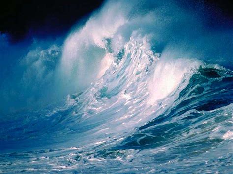 Wallpapersea