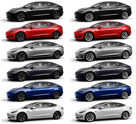 Tesla Model 3 Color Choice Infographic Video Infographics Six Models