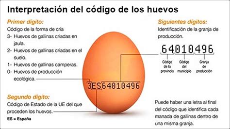 ¿entendemos La Numeración En Los Huevos