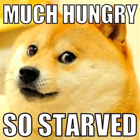 30 Funny Hungry Memes And Images For When You Need Food