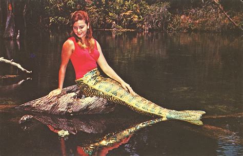 Lot Very Rare Original Vintage Mermaid Pin Up Postcard