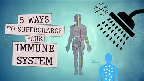 Natural Ways To Boost Your Immune System How To Supercharge Your Immunity YouTube