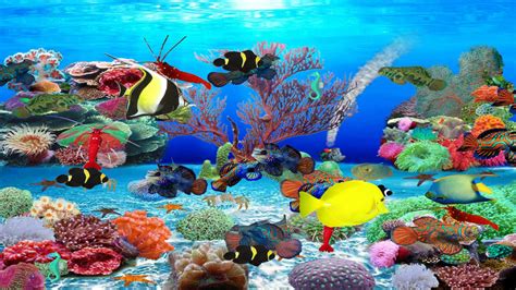 Live Aquarium Background Windows 10 Carrotapp