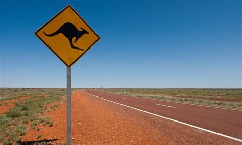 Australian Road Signs And Meanings Guide 2023 Ttfs Blog
