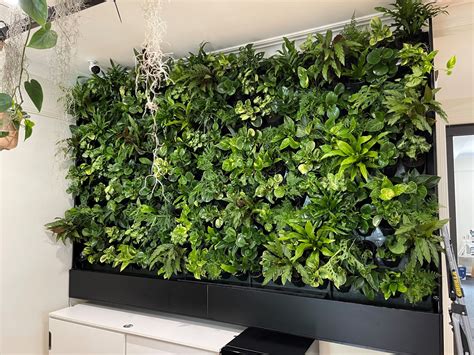 How Much Will My Indoor Green Wall Really Cost