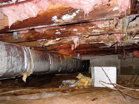 Pin By Basement Systems Usa 410 858 On Mold Remediation Crawl Space