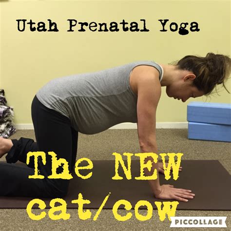 Prenatal yoga — can help with seemingly every pregnancy symptom out there,. Cat And Cow Pose Yoga Pregnancy : Https Encrypted Tbn0 ...