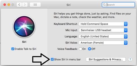 How To Disable Enable Type To Siri On MacOS Big Sur Catalina Mojave