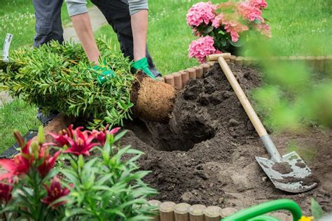 How To Dig Plant Holes For Your Landscaping Accurately