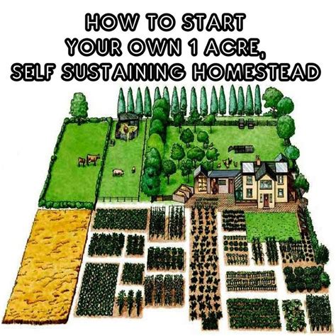 How To Start Your Own 1 Acre Self Sustaining Homestead