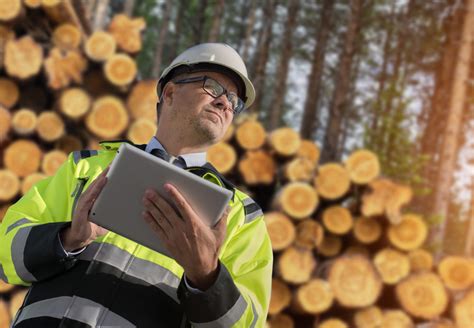Learn About Forestry Careers Online Phd Degrees