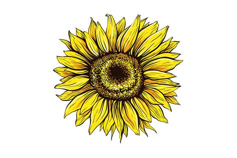 4 Th Of July Sublimation Sunflower Svg File