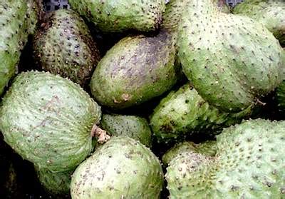 More of a side than a main dish, ketupat comes. Fruits of Malaysia