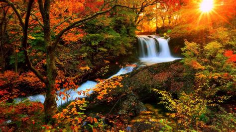 Waterfalls Autumn Waterfalls Photography Sunlight Love Seasons
