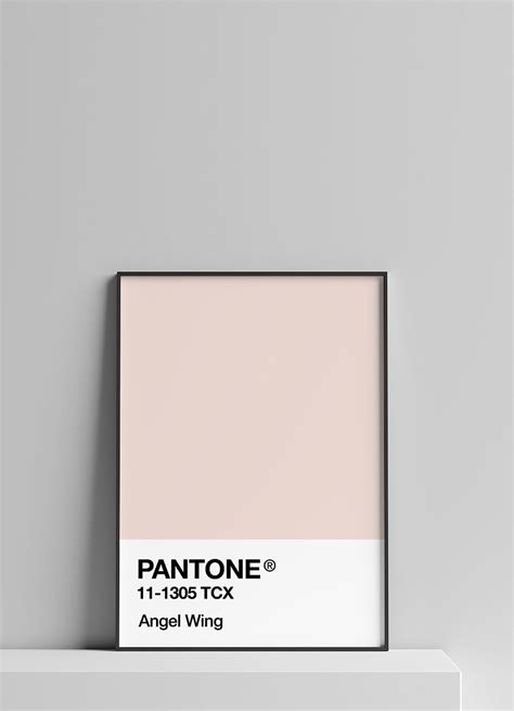 Printable Pantone Pantone Wall Art Blush Pink Art Wall Etsy