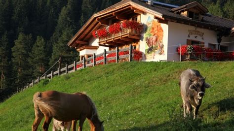 La Tua Vacanza In Un Maso Eco Friendly Del Trentino Alto Adige
