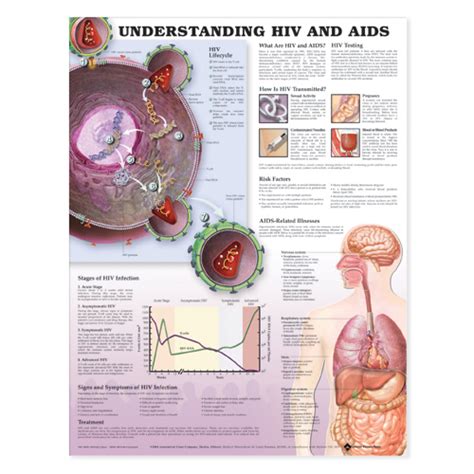 Understanding Hiv And Aids 2nd Edition Chart Medwest Medical Supplies