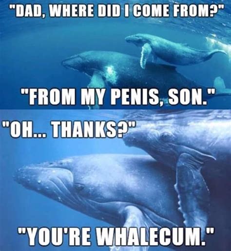 Pin By Stefanie Miller On Laugh Whale Jokes Adult Jokes Dad Jokes