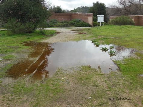 Paso Robles In Photos Photos Of A Wet North County