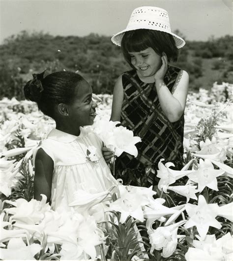 7 Vintage Photographs Of Easter Lilies In Bermuda The Bermudian Magazine
