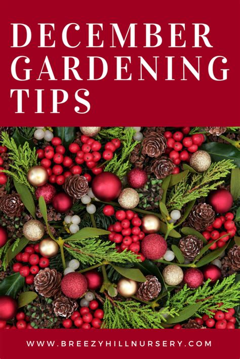 December Gardening And Landscaping Tips