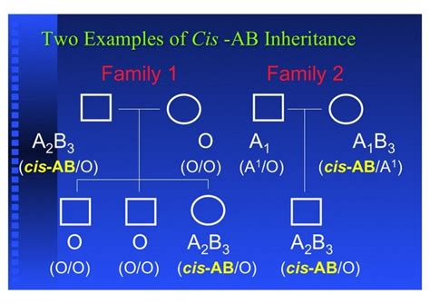 Ab positive blood grouping suggest the person has both a and b antigens in the serum. Appendix 15. Two examples of cis-AB inheritance - All You ...