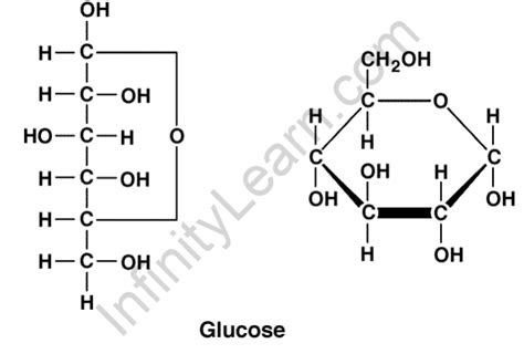Monosaccharide Glucose And Fructose Infinity Learn By Sri Chaitanya